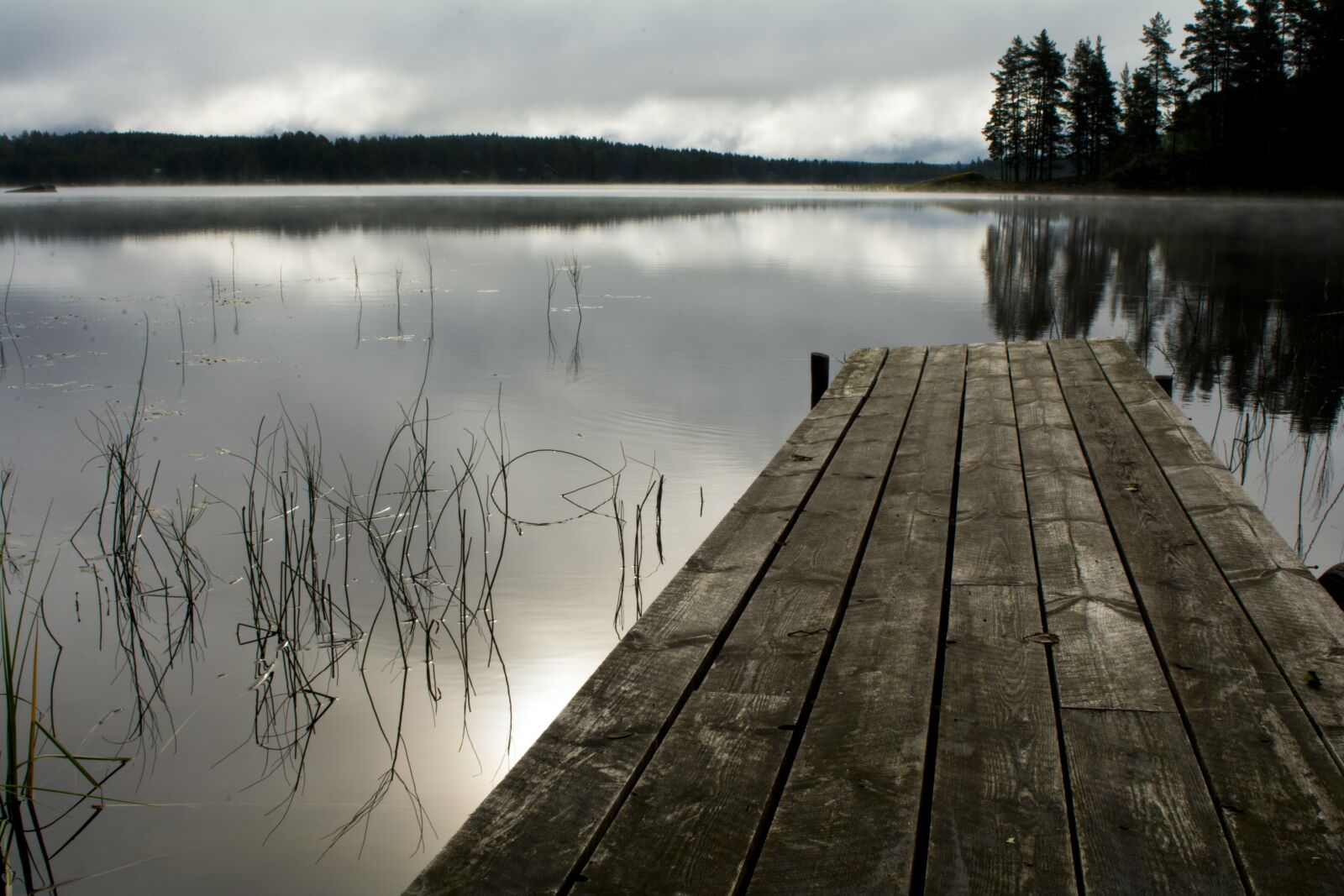 Nikon D7100 sample photo. Sweden, more, wood photography