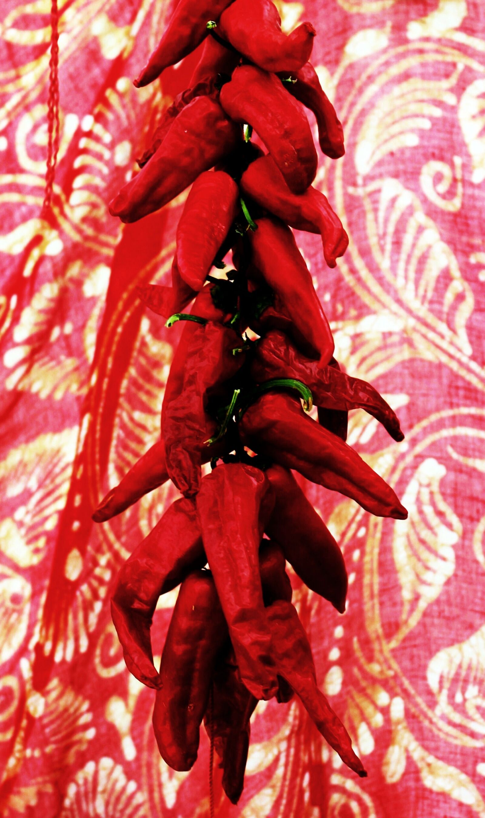 Canon EOS 1100D (EOS Rebel T3 / EOS Kiss X50) sample photo. Chile ristra, chili ristra photography