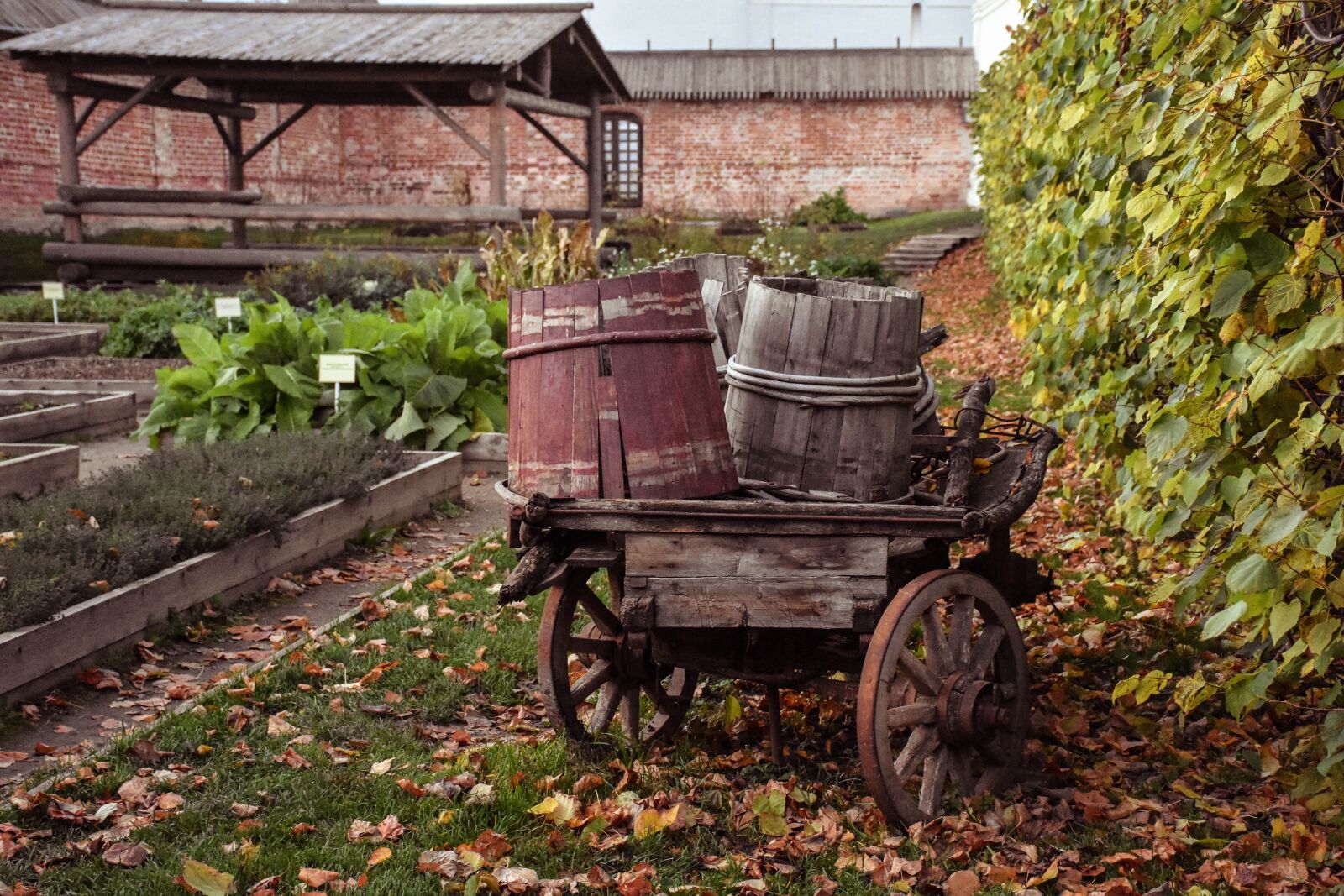 Nikon D7200 sample photo. Autumn, barrels, cart photography
