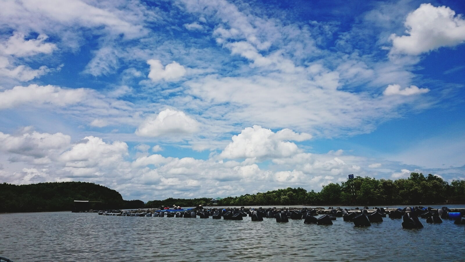 Sony Xperia Z1 sample photo. Photography, of, green, trees photography