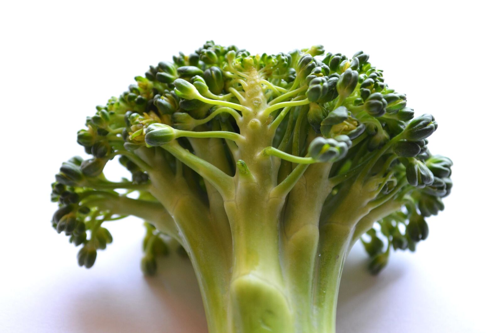 Nikon D5100 sample photo. Broccoli, leaf, plant, green photography