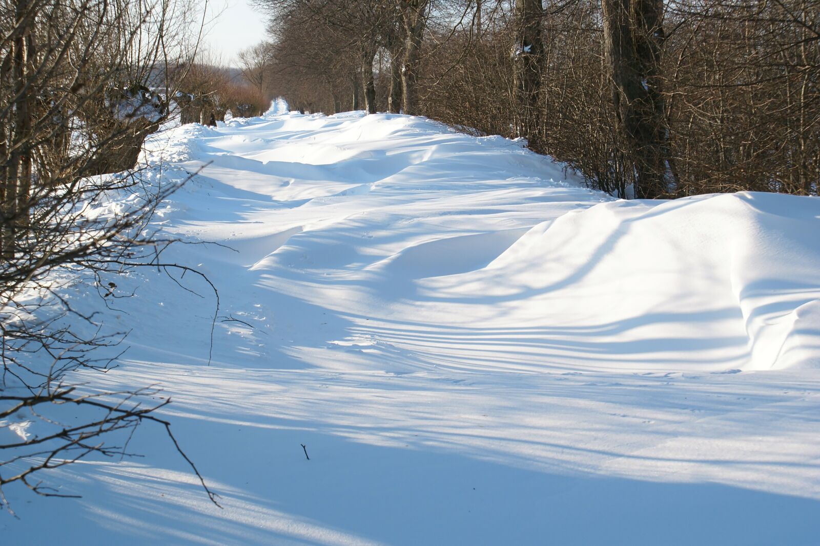 Sony Alpha DSLR-A100 sample photo. Away, snowy, wintry photography