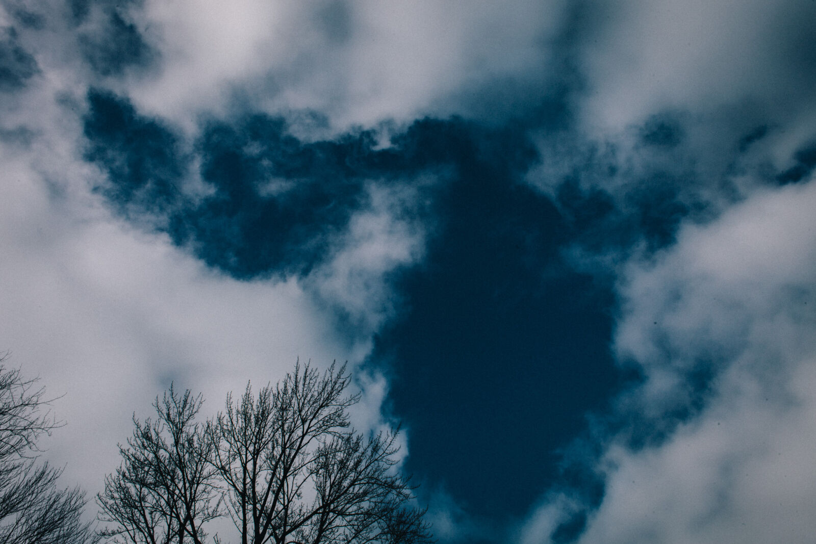 Canon EOS 5D Mark II + Canon EF 28mm F1.8 USM sample photo. Clouds, sky, trees, vsco photography