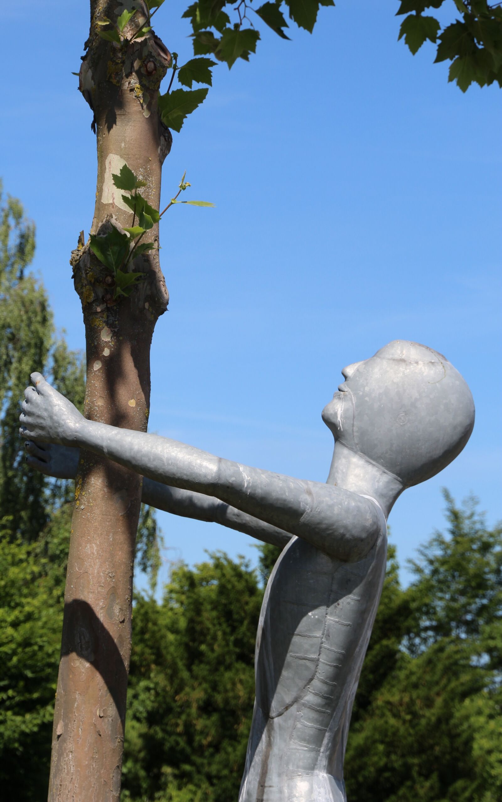 Canon EOS 1200D (EOS Rebel T5 / EOS Kiss X70 / EOS Hi) sample photo. Figure, metal, sculpture photography