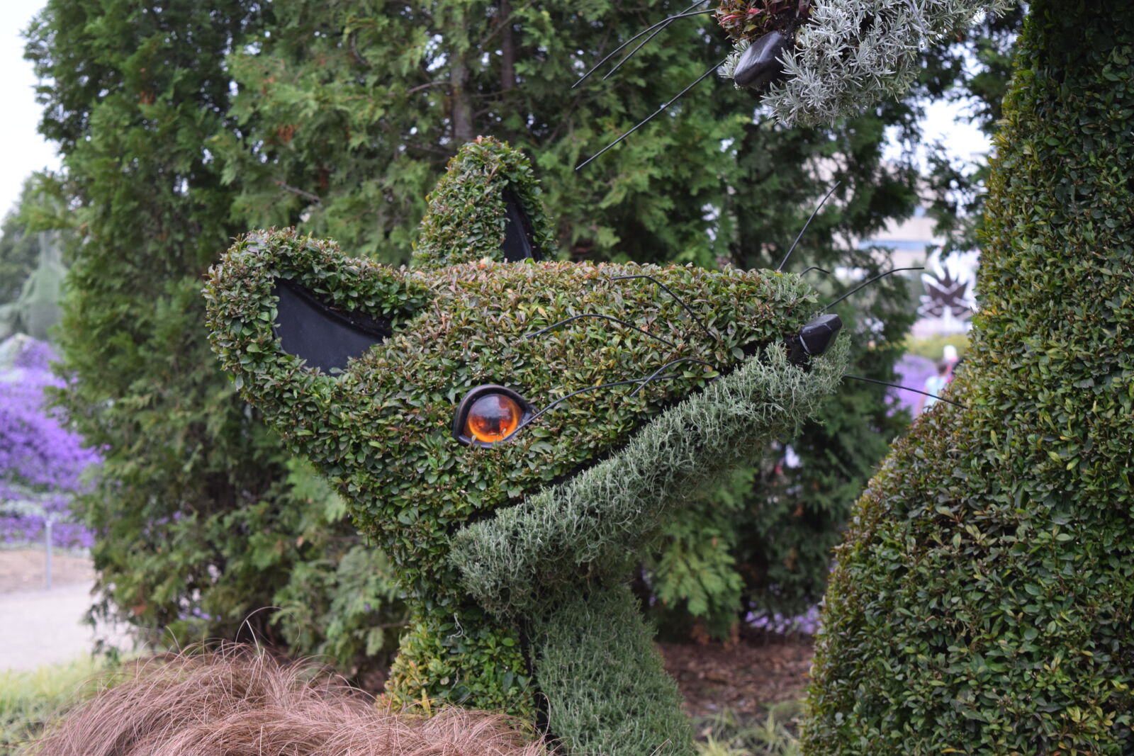 Nikon D3300 sample photo. 150, birthday, canada, eyes photography