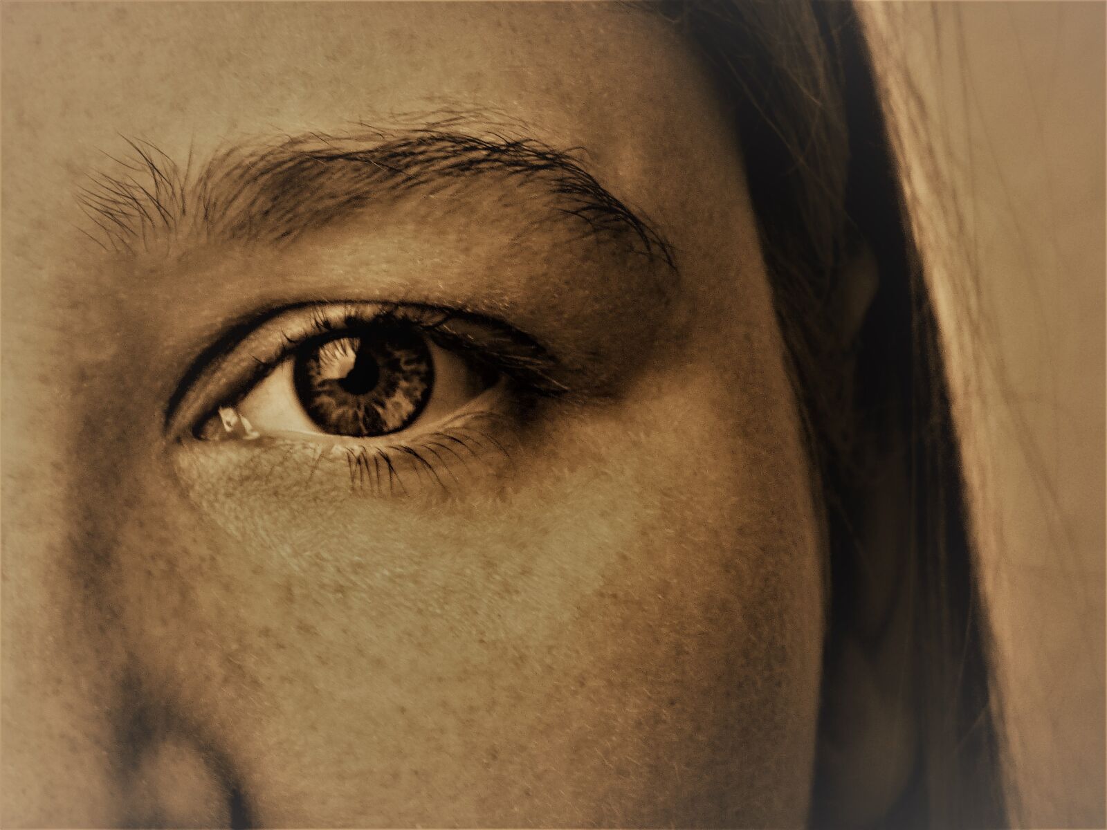 Panasonic DMC-FZ72 sample photo. Eye, face, female photography