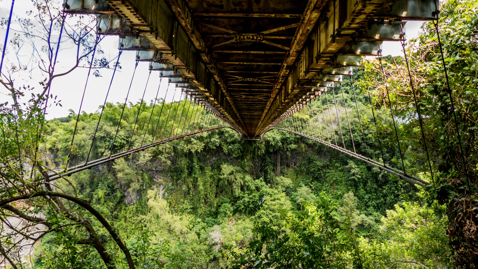 Panasonic Lumix DMC-FZ200 sample photo. Bridge, bright, colours, nature photography