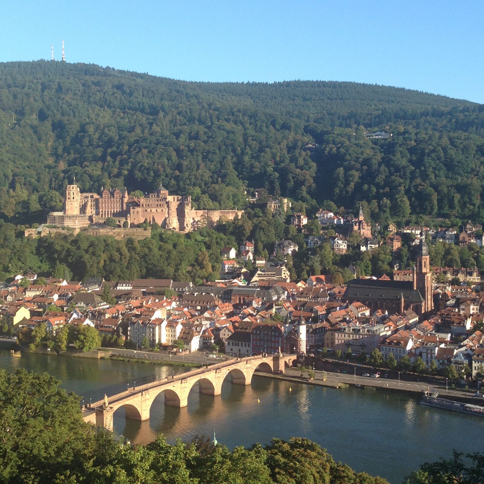 iPhone 5 back camera 4.12mm f/2.4 sample photo. Heidelberg castle, castle, germany photography
