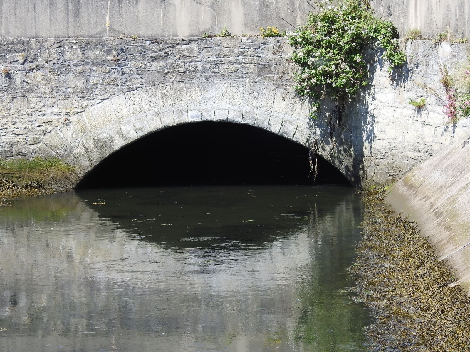 Nikon Coolpix P900 sample photo. Tunnel, bridge, highway photography