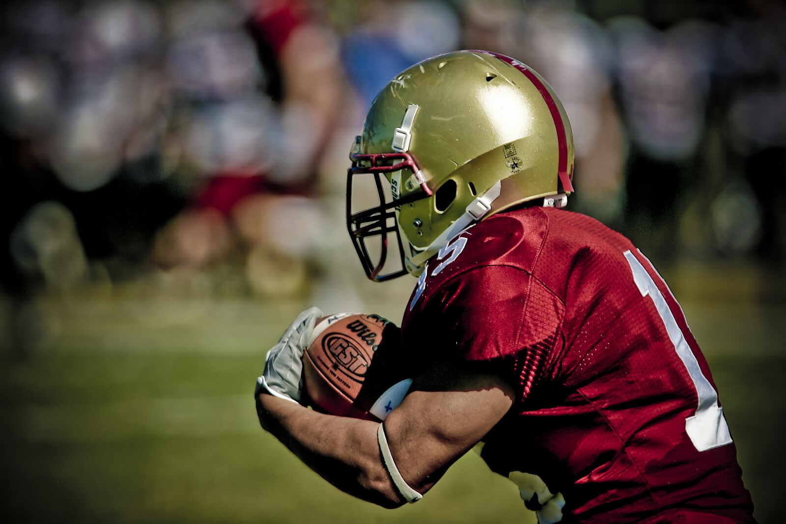 Canon EOS-1D Mark II N sample photo. Football, running back, gold photography