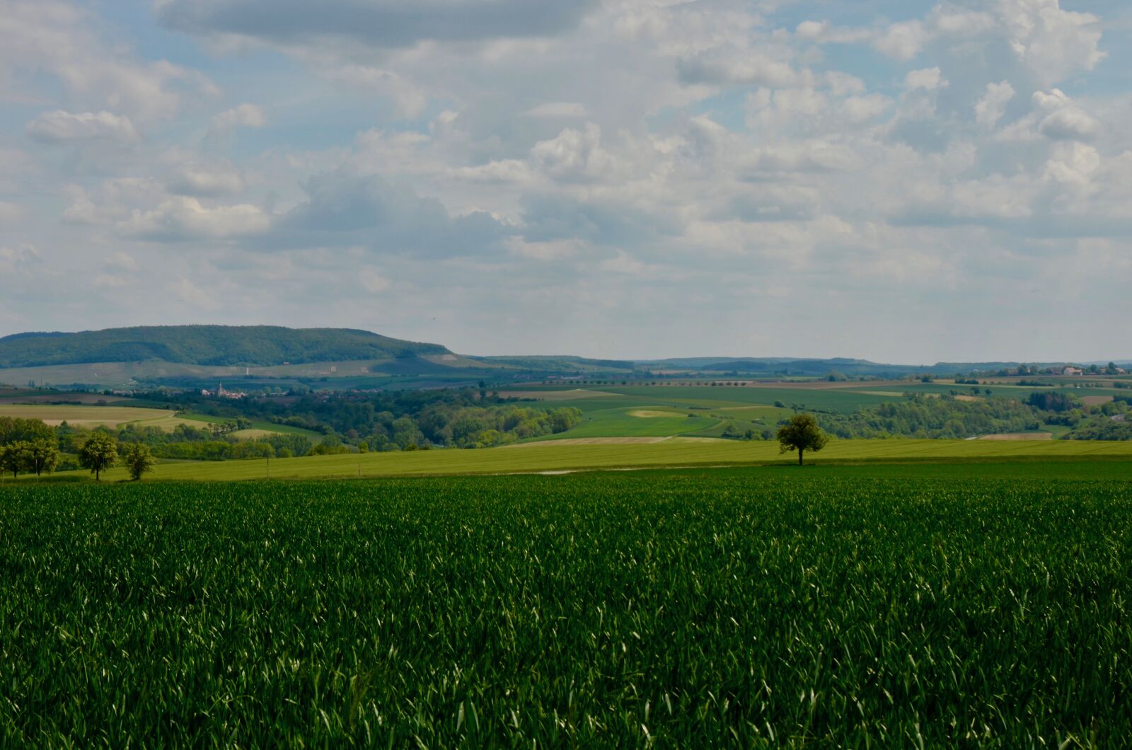 Nikon D5100 sample photo. Landscape, panorama, clouds photography