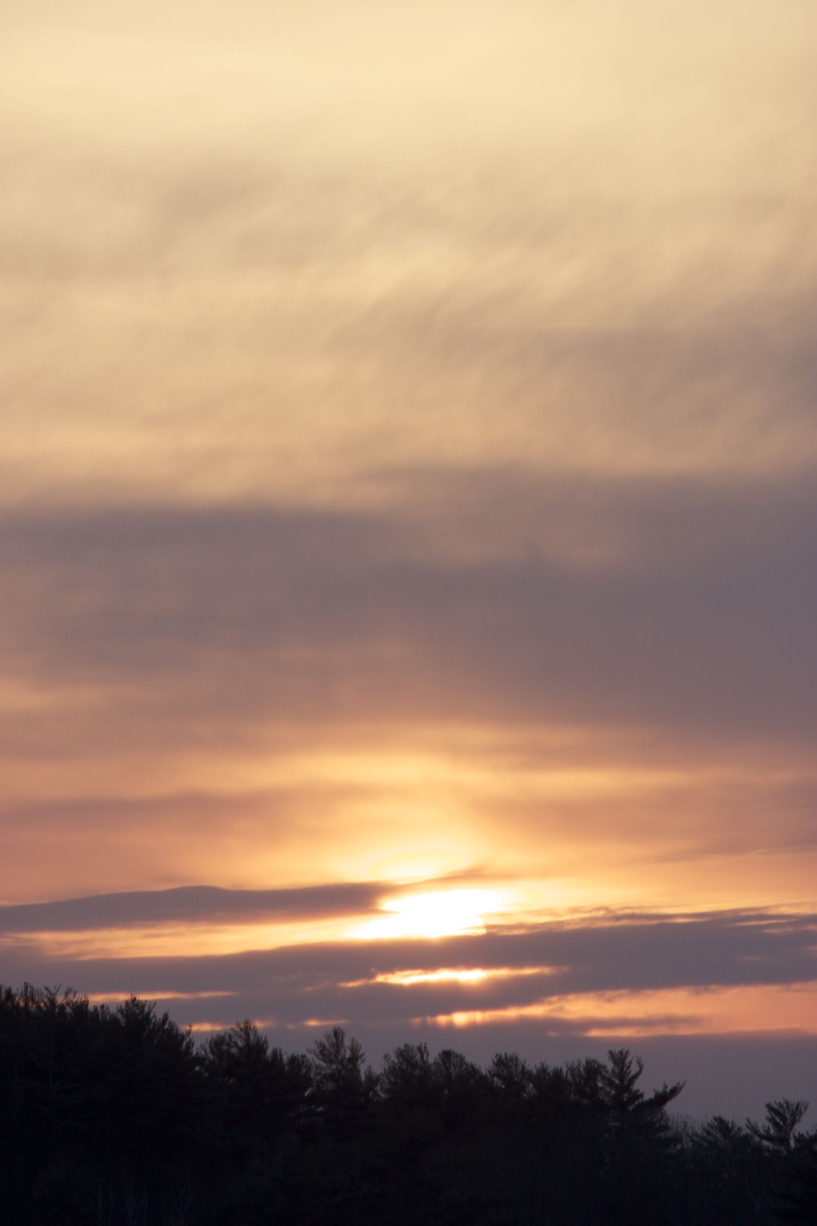 Canon EOS 550D (EOS Rebel T2i / EOS Kiss X4) sample photo. Clouds, sky, sunset, trees photography