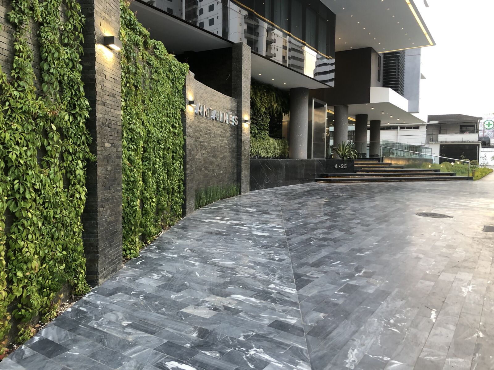 iPhone 8 back camera 3.99mm f/1.8 sample photo. Sidewalk, walking, green photography