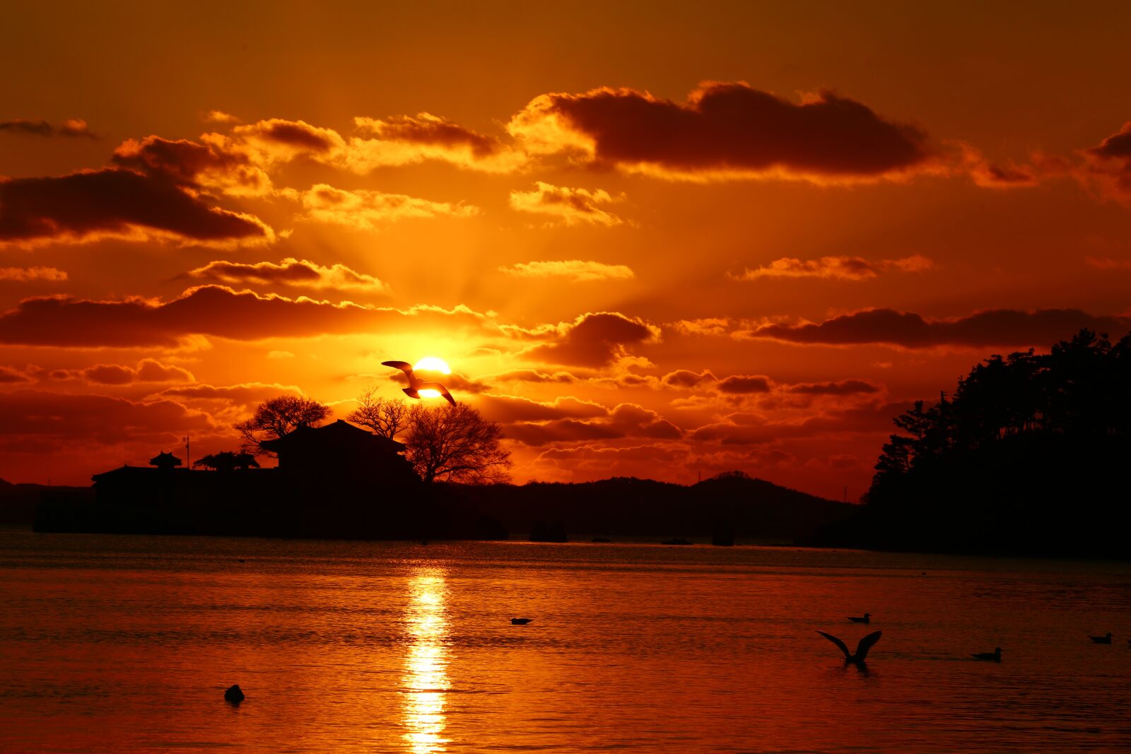 Canon EF 70-200mm F2.8L USM sample photo. Sunset, between the months photography