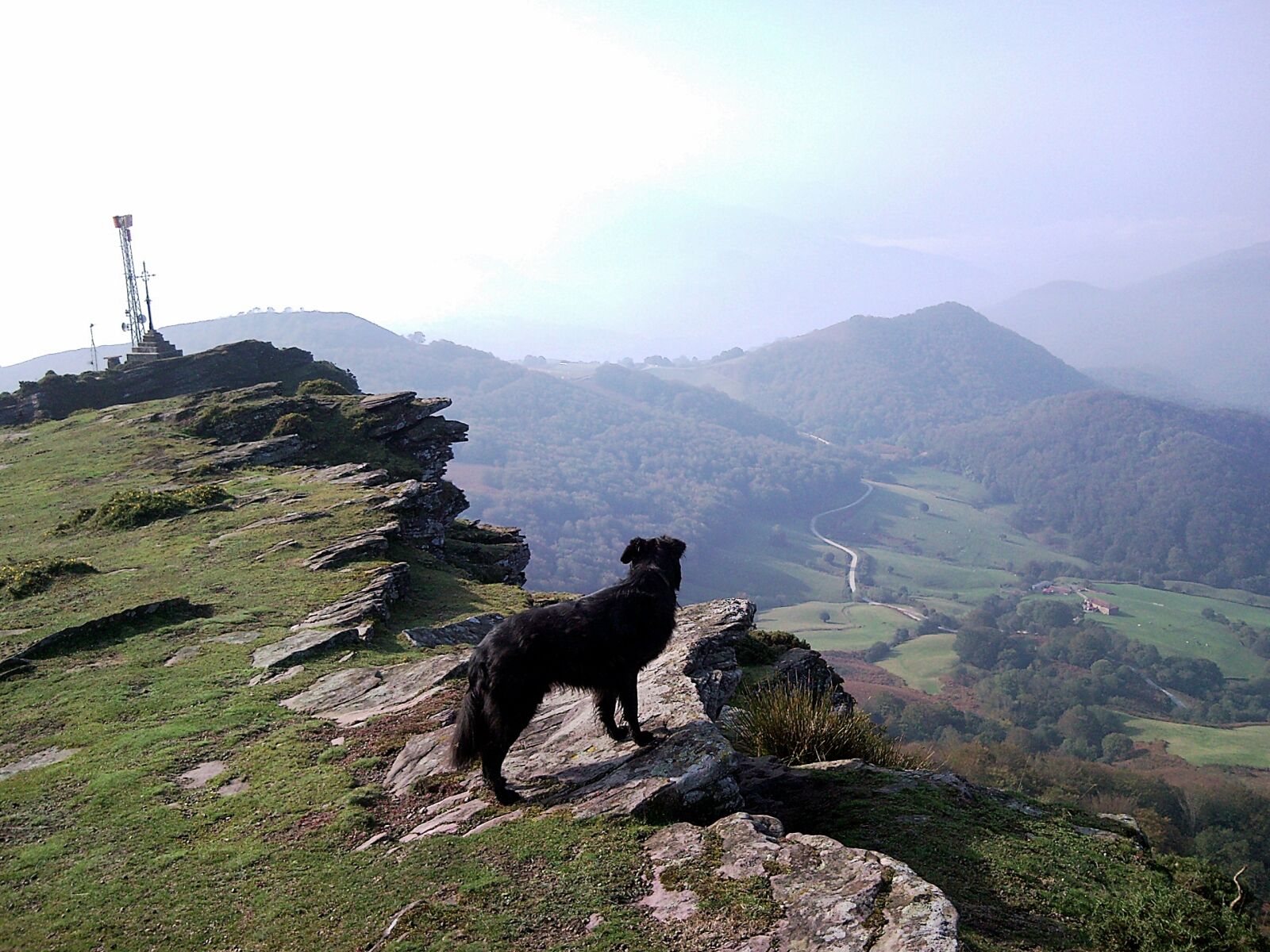 Samsung SGH-i900 sample photo. Mountain, dog, landscape photography