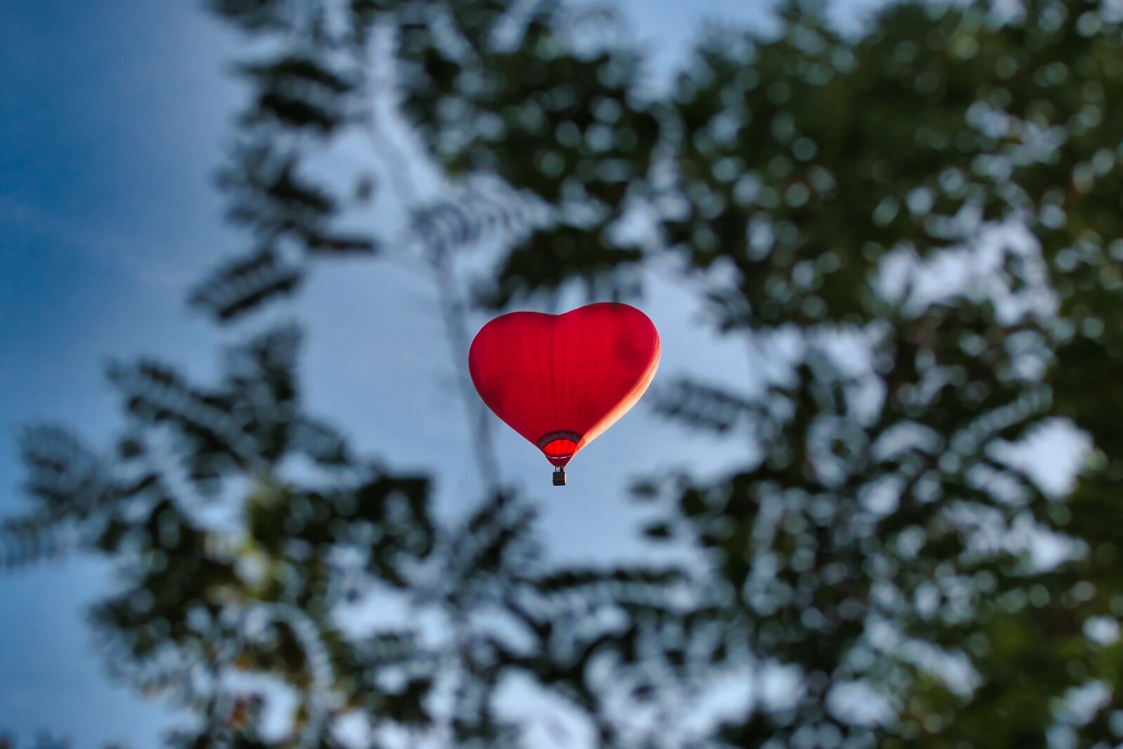 Canon EOS 70D sample photo. Hot air balloon, fly photography