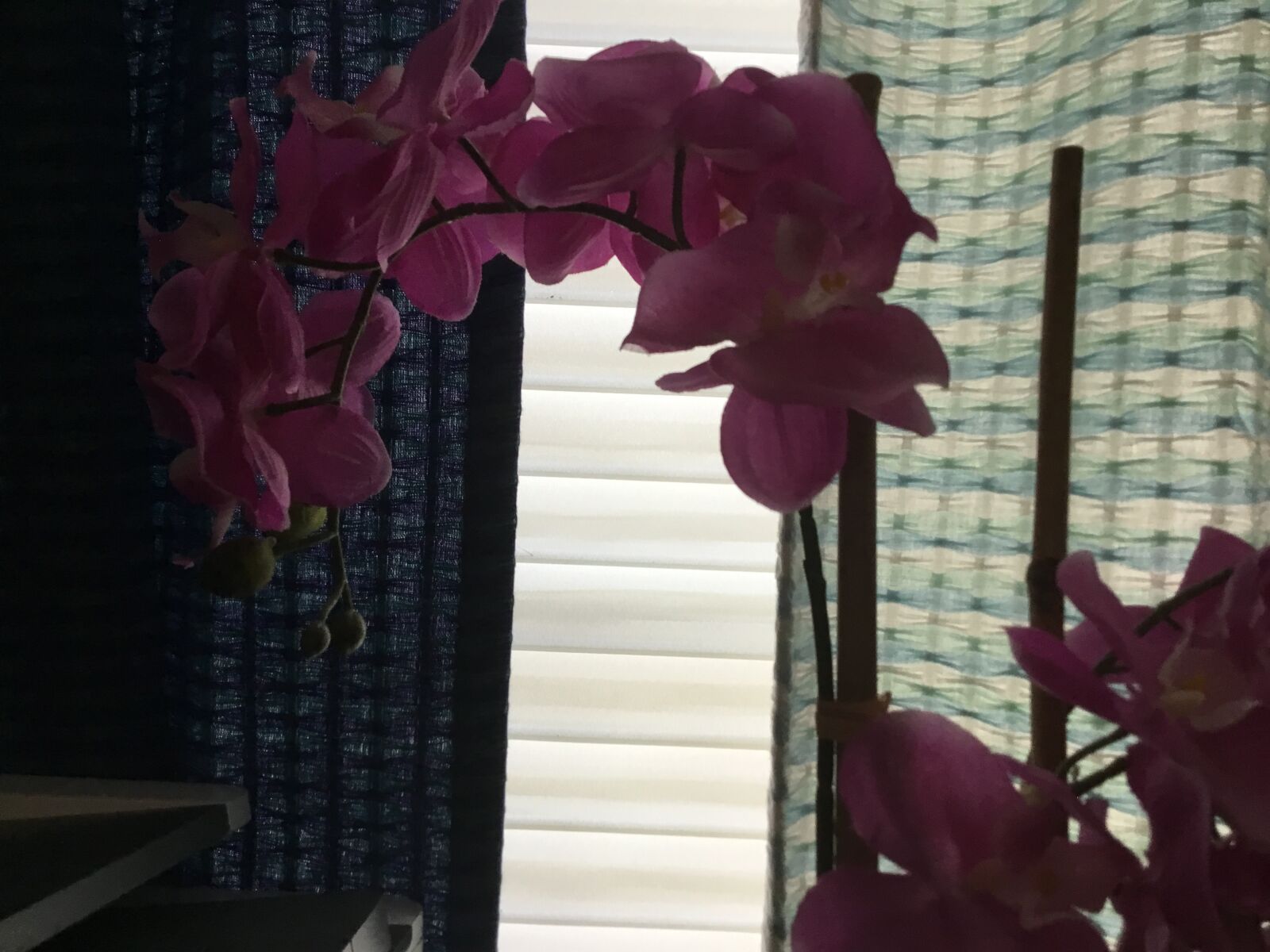 Apple iPad (5th generation) sample photo