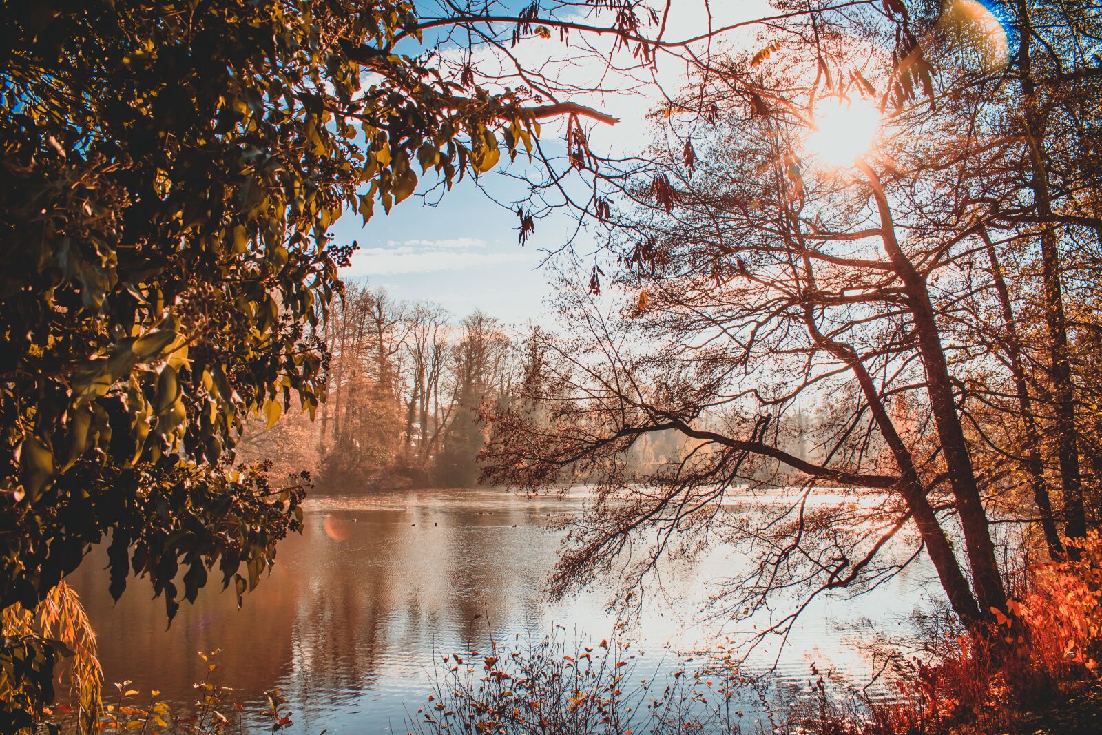 Canon EOS 750D (EOS Rebel T6i / EOS Kiss X8i) sample photo. Pond, park, sun photography