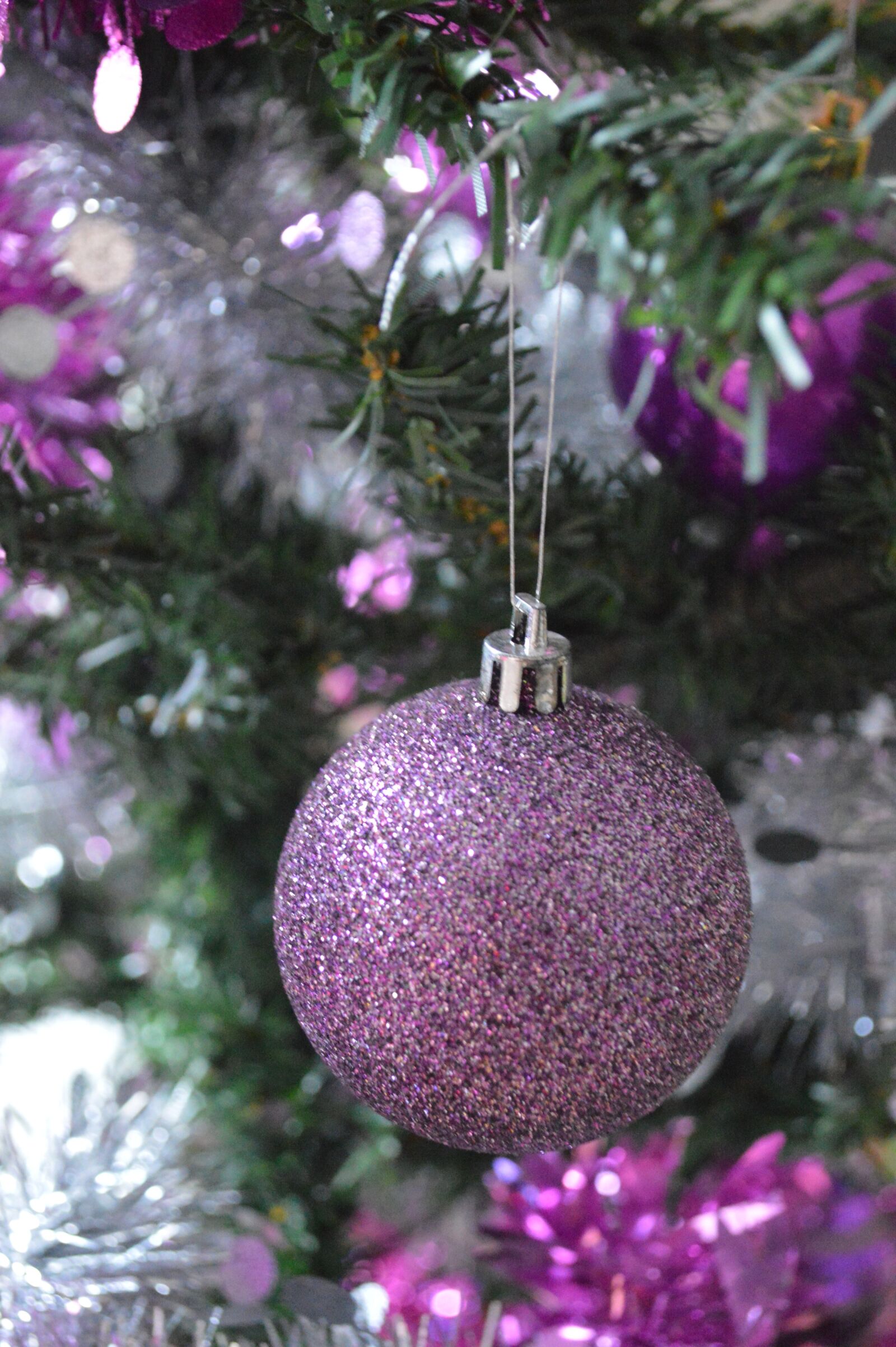 Nikon D3200 sample photo. Bowls, christmas, decoration photography