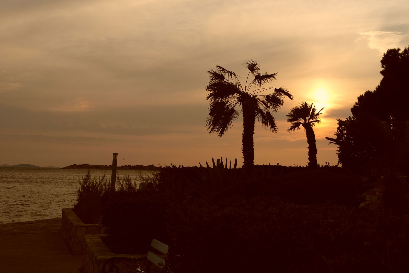 Samsung NX1000 sample photo. Beach, sunset, trees photography