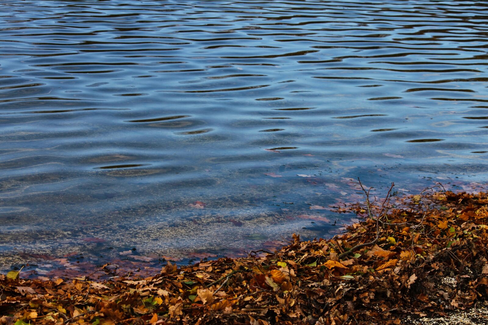 Canon EOS 1100D (EOS Rebel T3 / EOS Kiss X50) sample photo. Lakeside, lake, bank photography