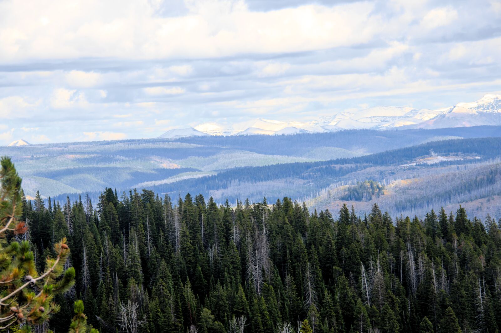 Nikon D850 sample photo. Yellowstone, scenic, scenery photography