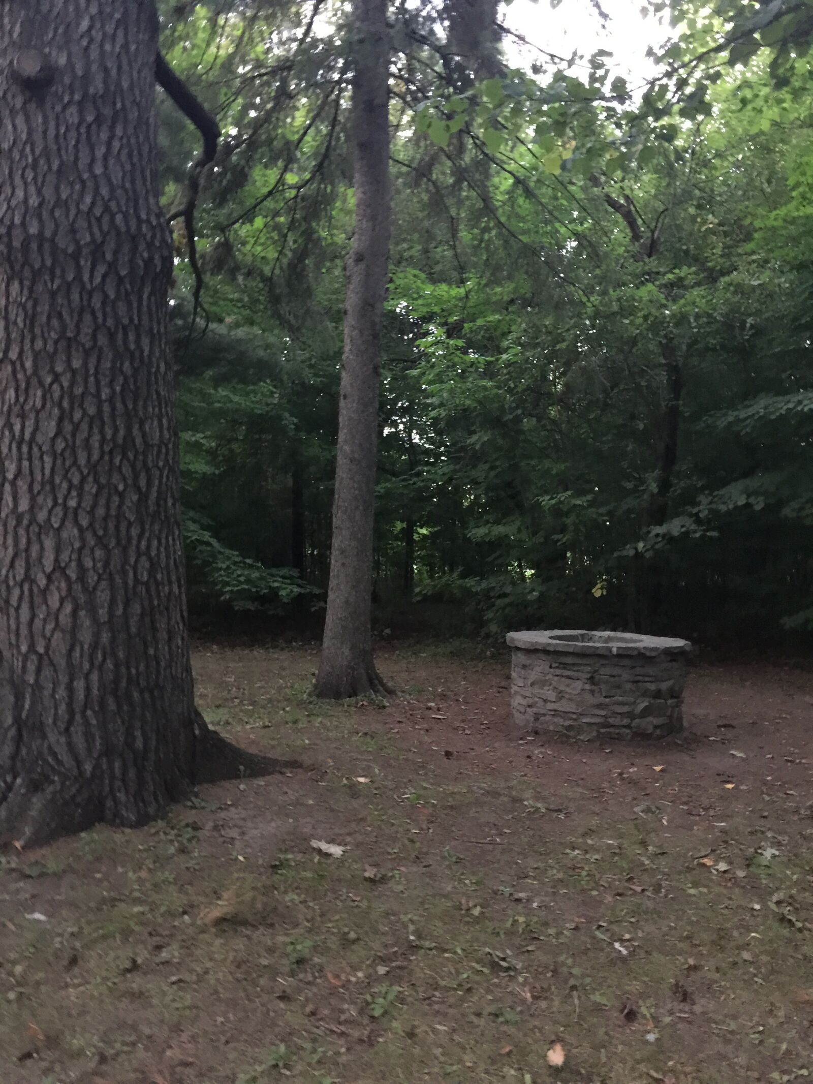 iPhone 6 Plus back camera 4.15mm f/2.2 sample photo. Old well, well, pierre photography