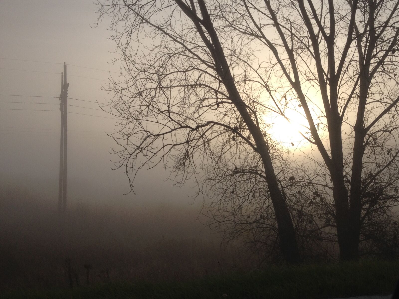 Apple iPhone 4S sample photo. Morning, fog, sun photography