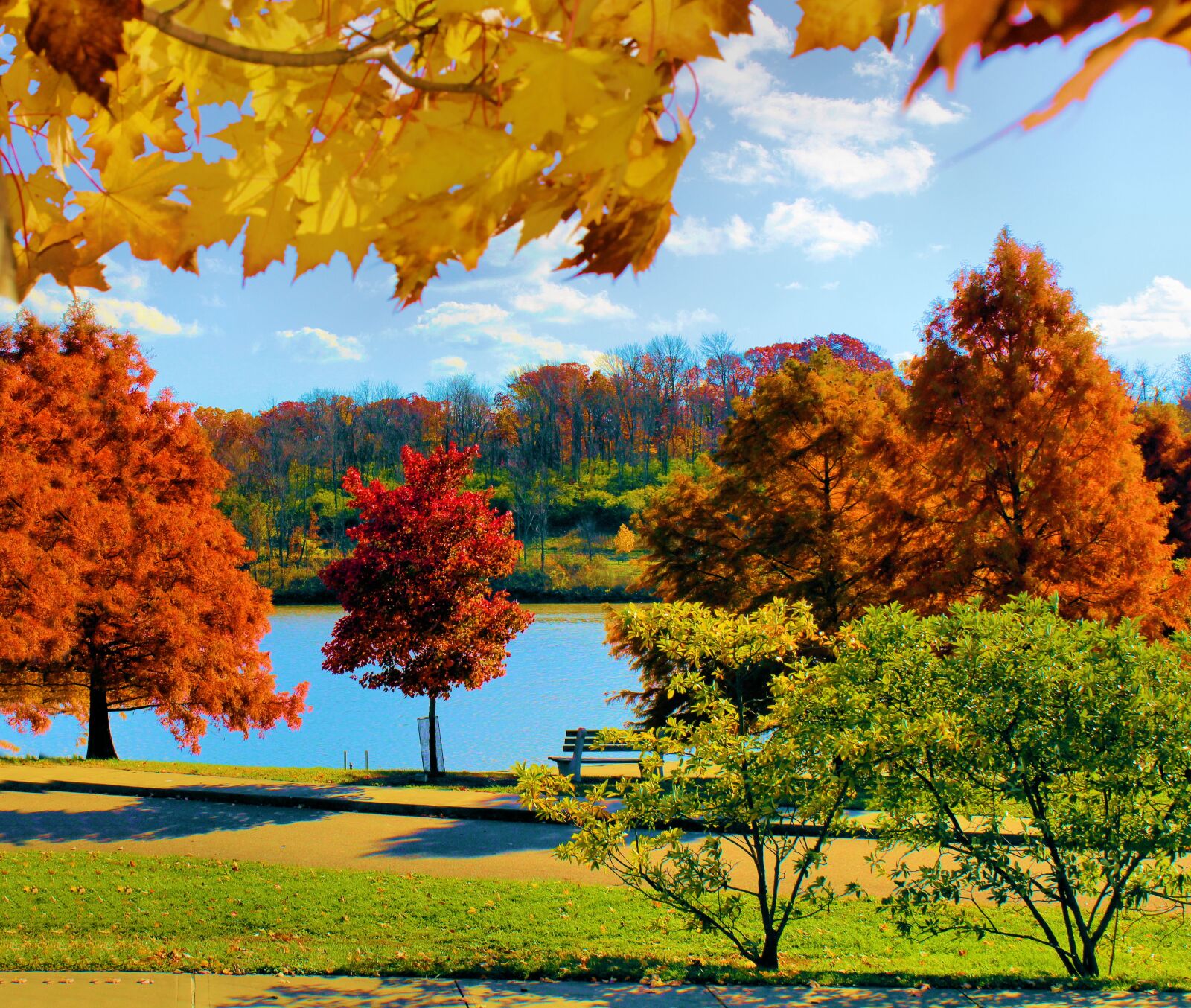 Canon EOS 600D (Rebel EOS T3i / EOS Kiss X5) sample photo. Fall, tree, season photography