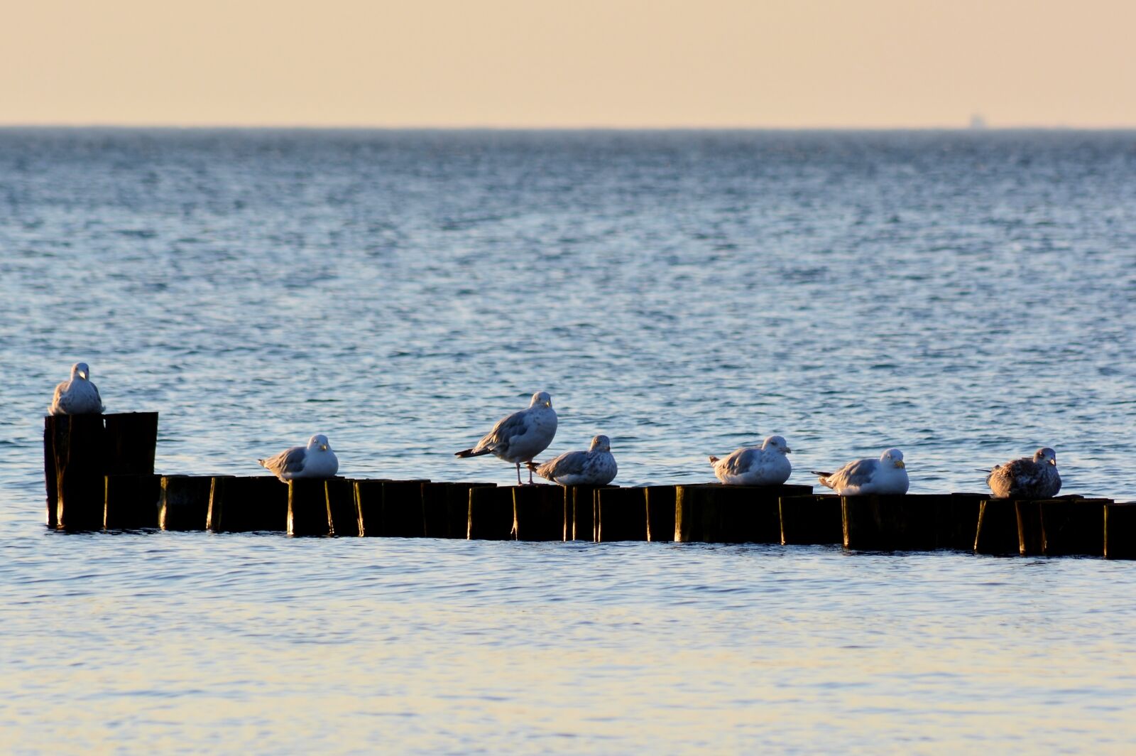 Nikon D5200 sample photo. Waters, sea, ocean photography