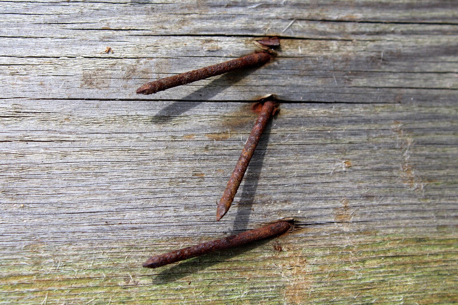 Canon EOS 1200D (EOS Rebel T5 / EOS Kiss X70 / EOS Hi) sample photo. Nails, rusty, corrosion photography