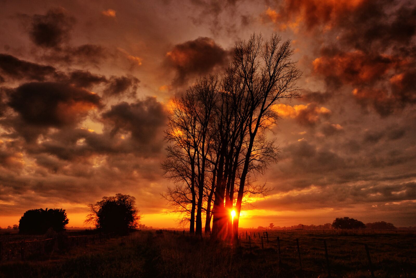 Nikon D5200 sample photo. Landscape, sunset, nature photography