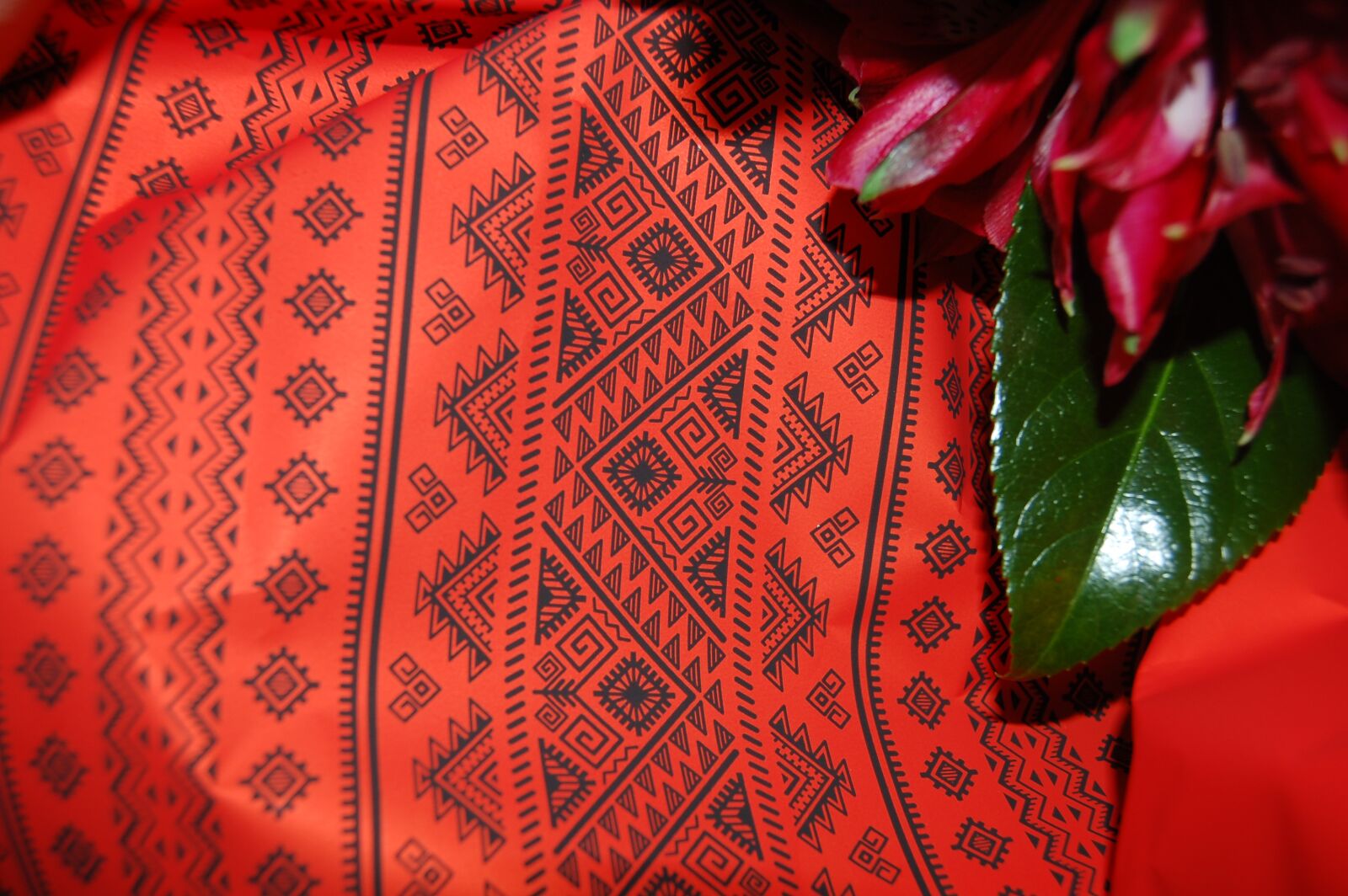 Nikon D40 sample photo. Pattern, paper, red photography