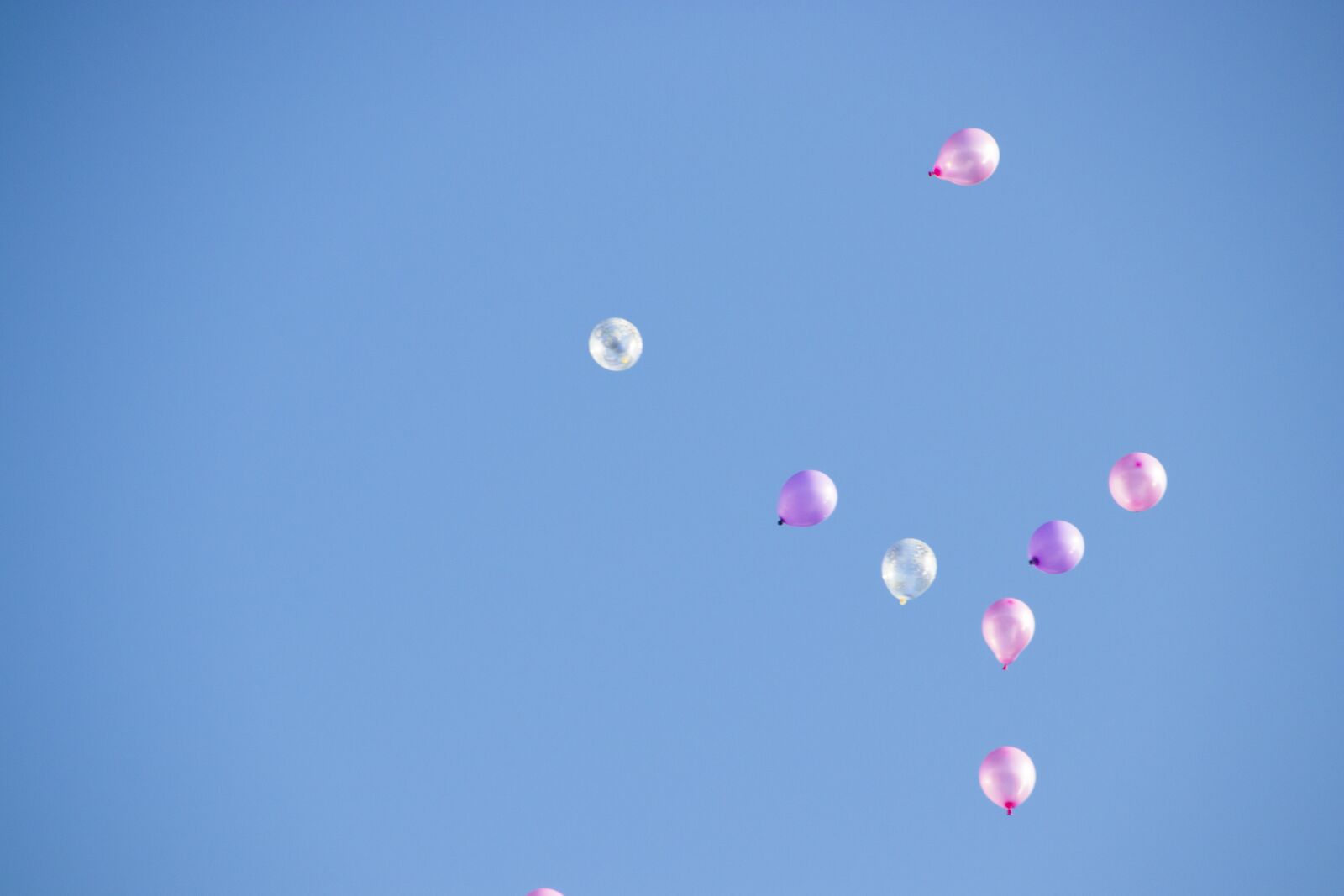 Canon EOS 80D sample photo. Sky, balloons, freedom photography