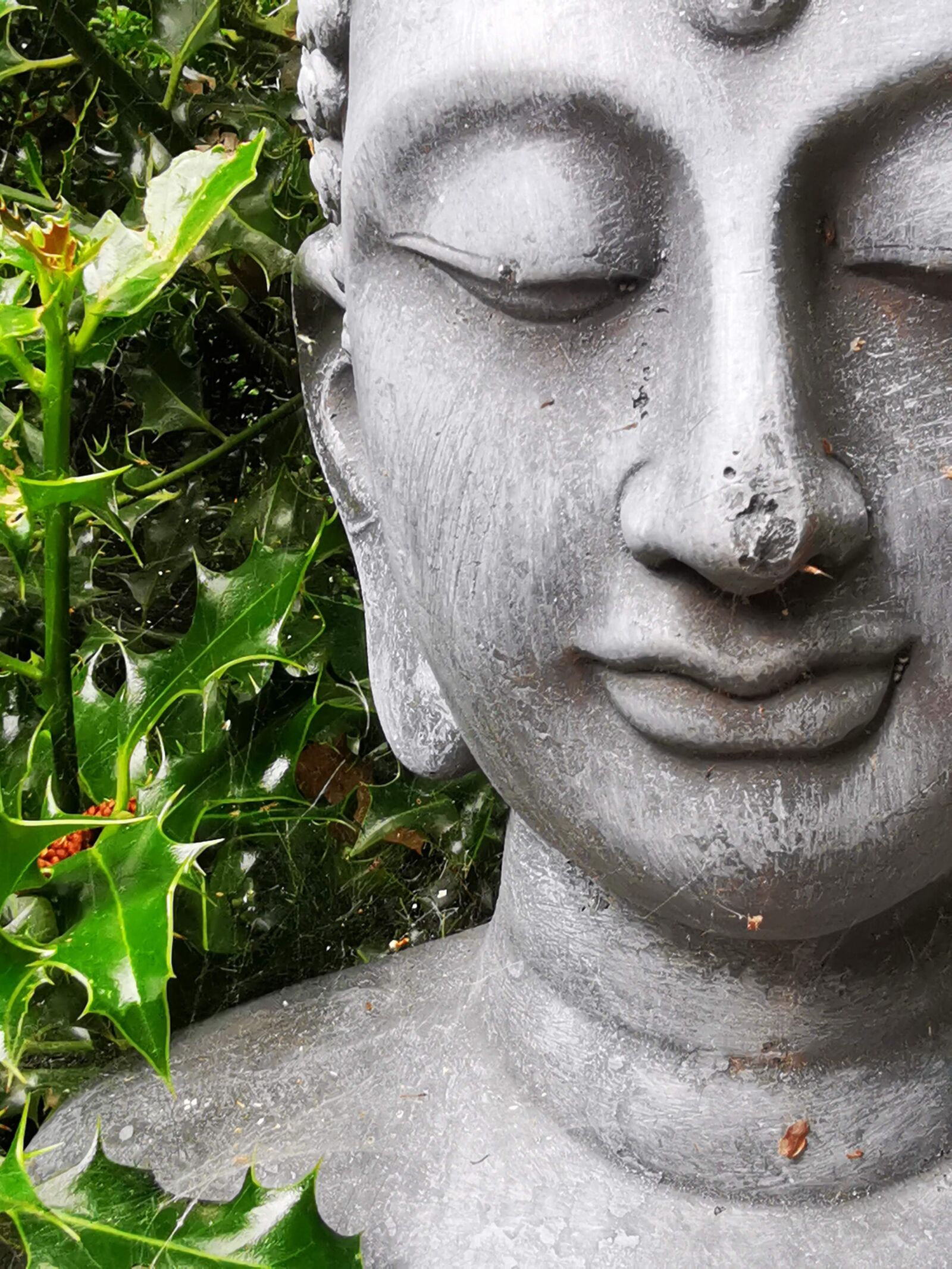 HUAWEI P30 sample photo. Buddha, garden, deco photography