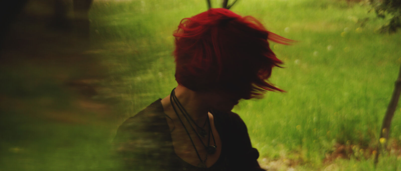 Canon EOS 450D (EOS Rebel XSi / EOS Kiss X2) sample photo. Felling, green, hair, red photography