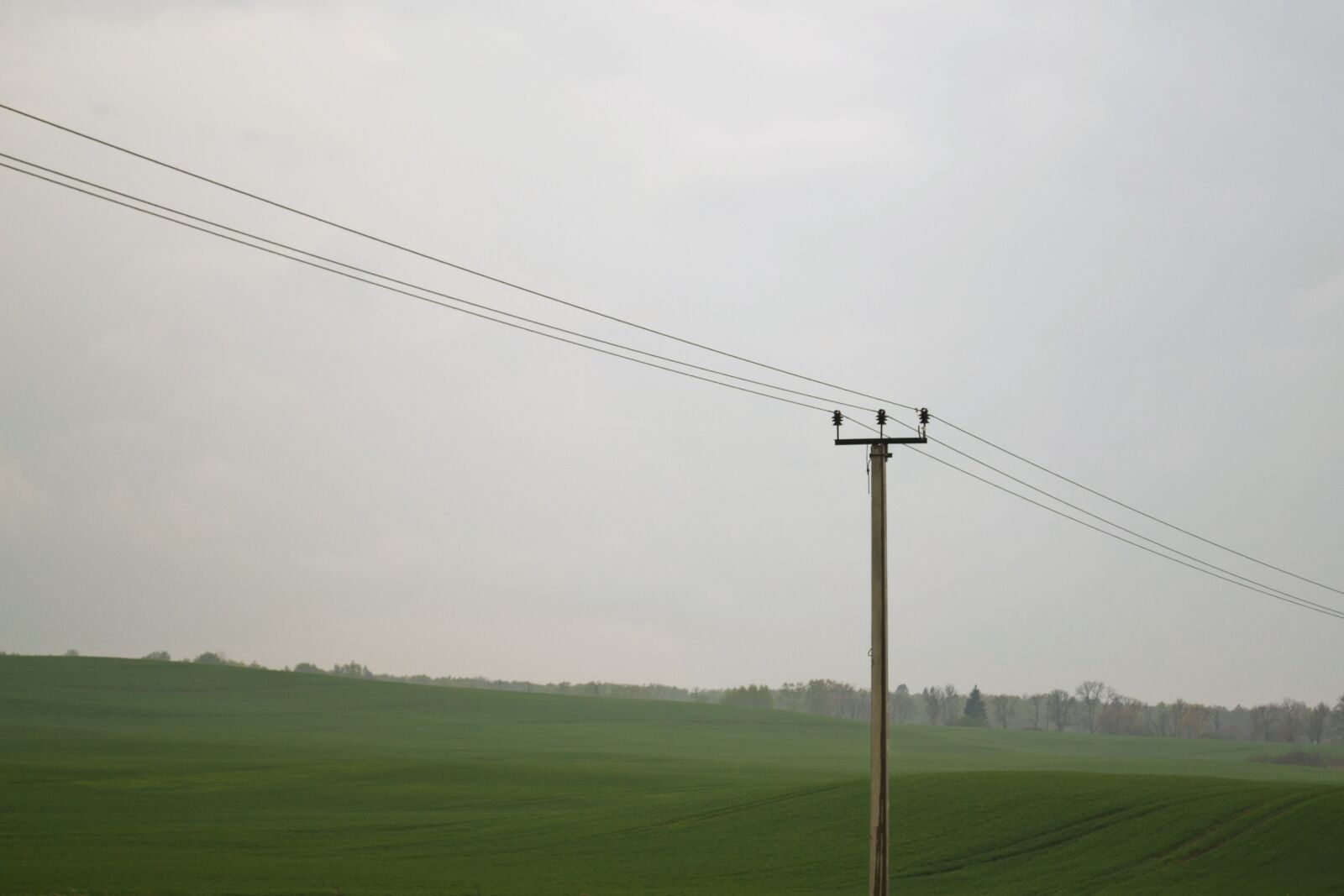 Nikon D3100 sample photo. Power line, pole, overcast photography
