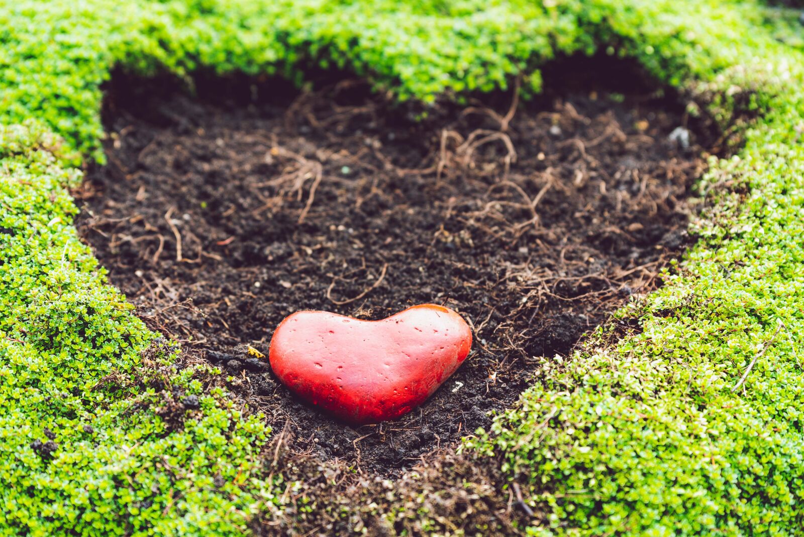 Nikon D750 sample photo. Heart, garden, spring photography