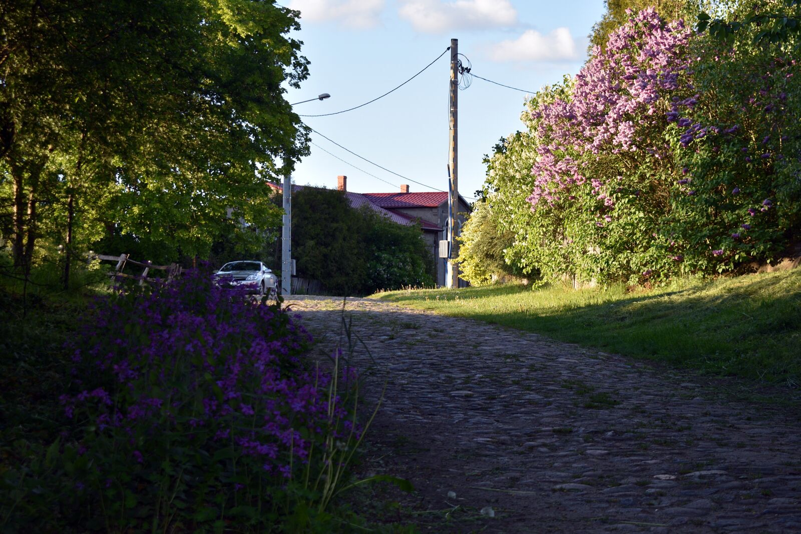 Nikon D3400 sample photo. Village, fencing, the fence photography
