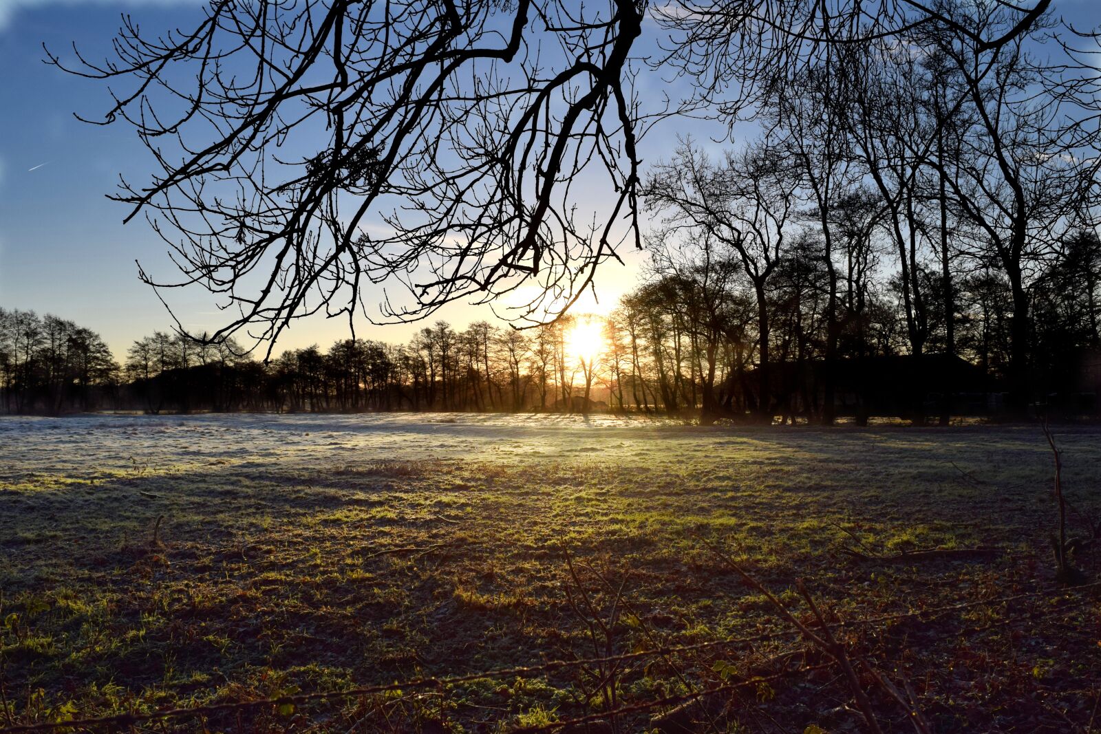 Nikon D3300 sample photo. Winter, frost, tree photography