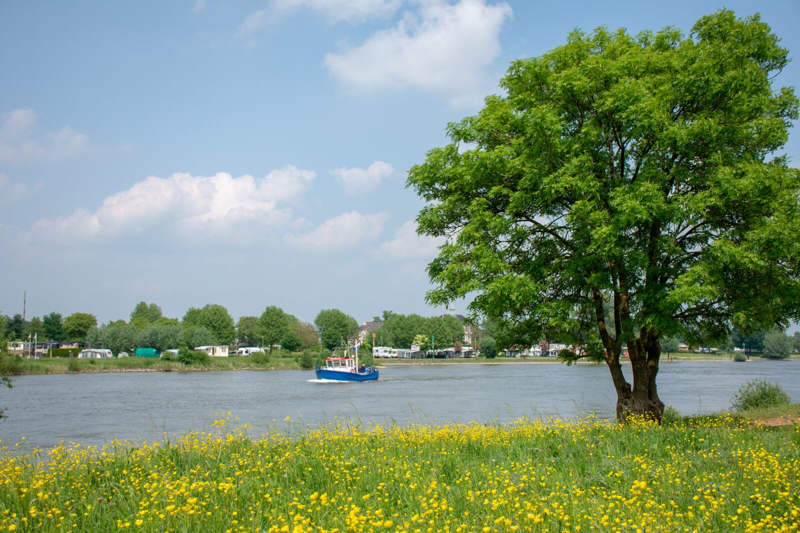 Nikon D7200 sample photo. River, trees, boat photography