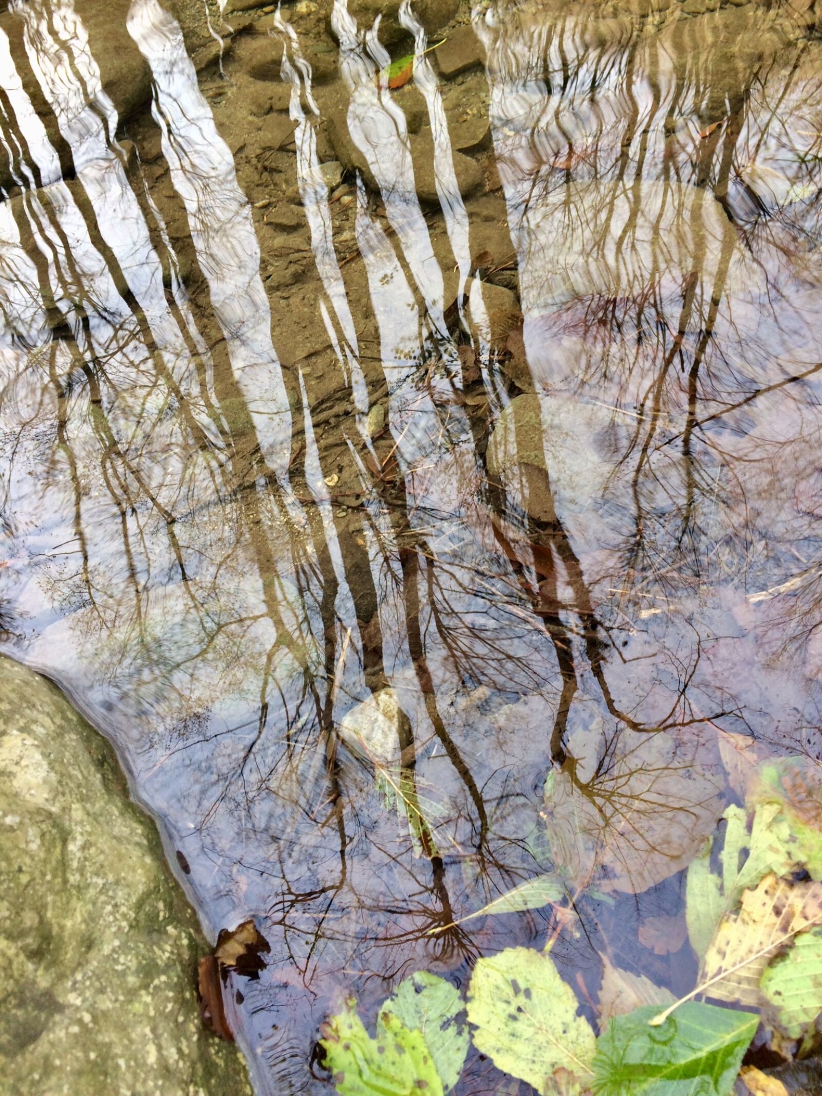 iPhone 5s back camera 4.15mm f/2.2 sample photo. Reflection, autumn, puddle photography