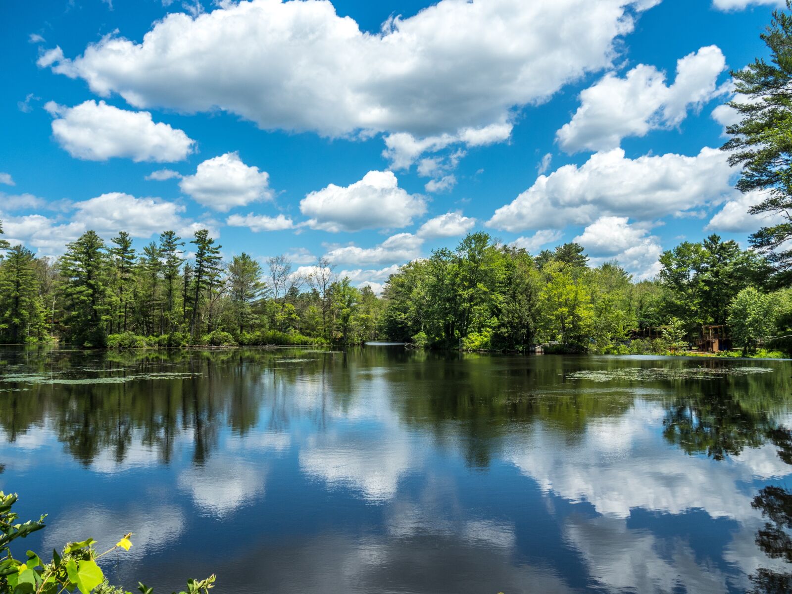 Olympus OM-D E-M1 Mark II sample photo. Lake, water, summer photography