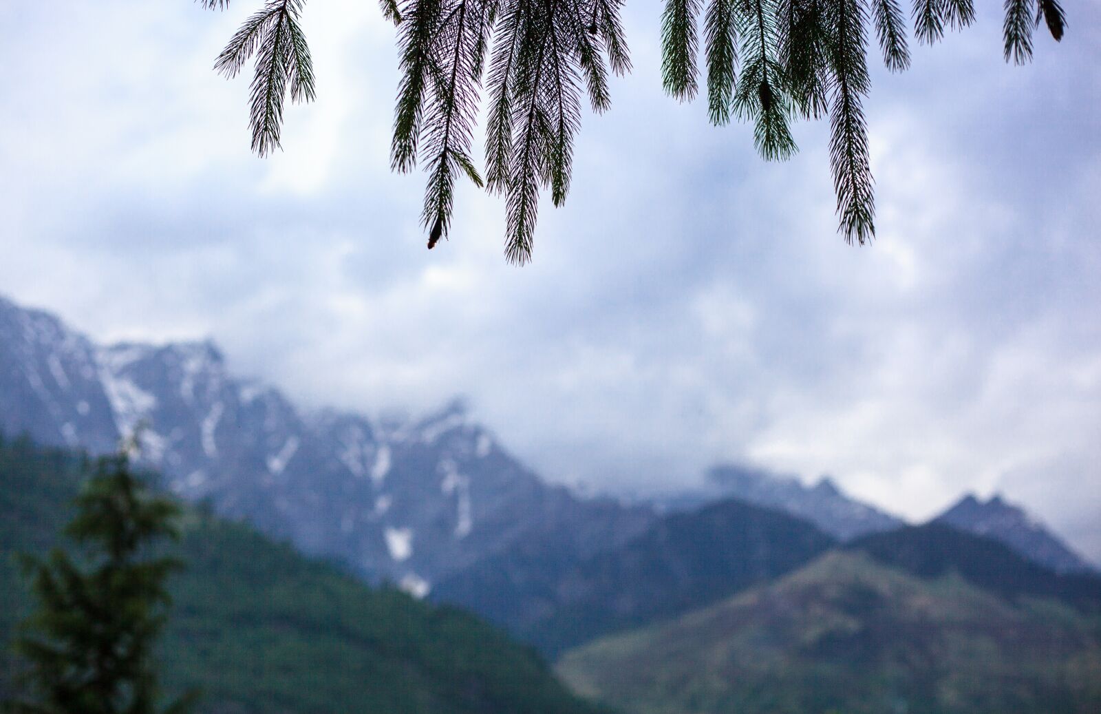 Canon EOS 5D Mark II sample photo. Mountain, tree, nature photography