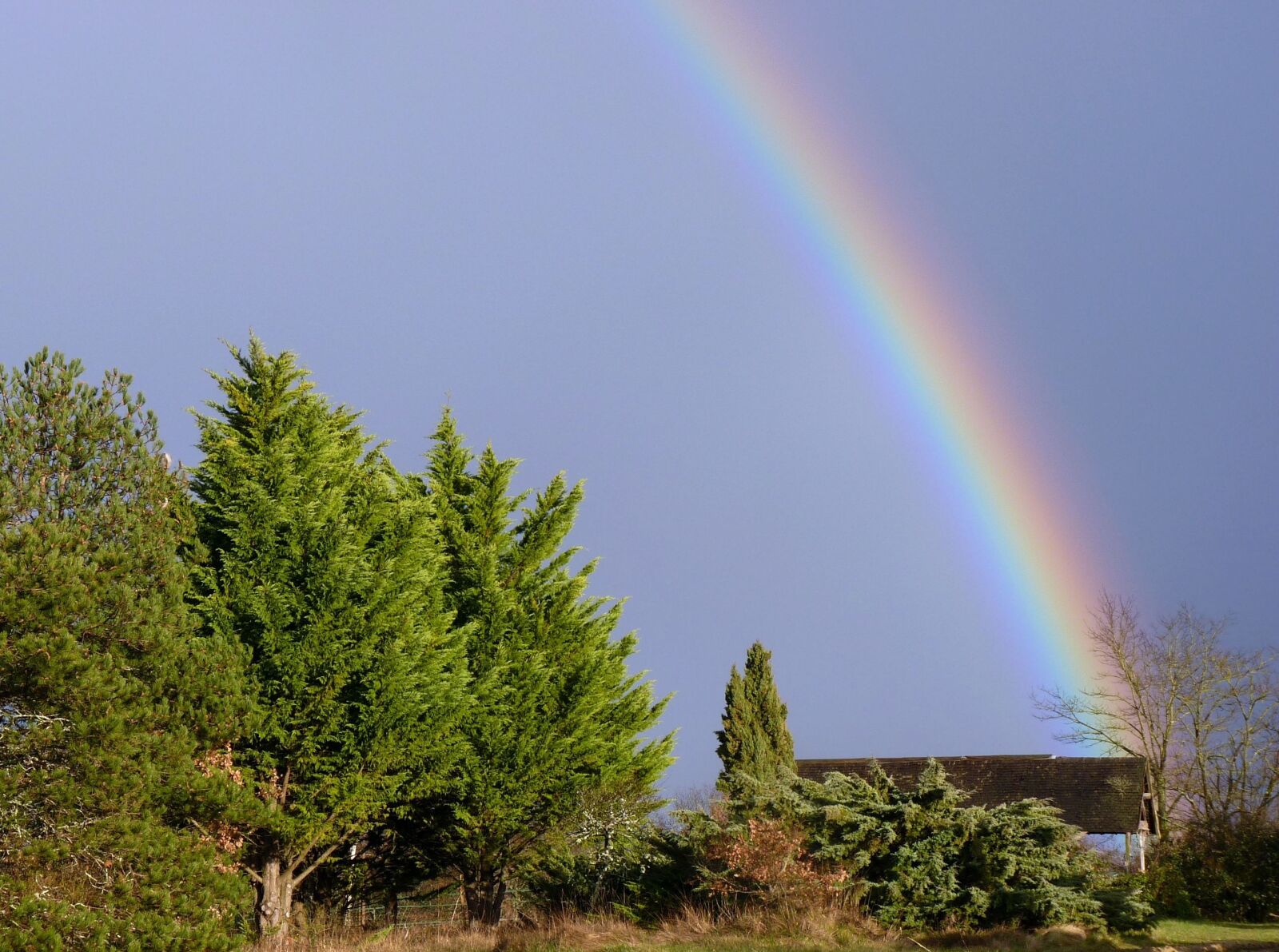 Panasonic Lumix DMC-FZ35 (Lumix DMC-FZ38) sample photo. Rainbow, nature, colors photography