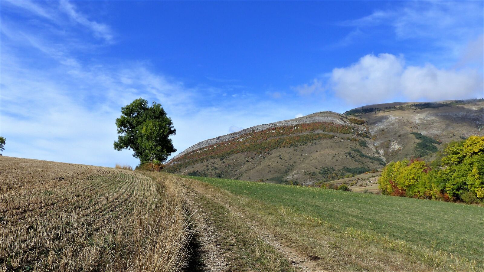 Panasonic Lumix DMC-FZ200 sample photo. Landscape, fields, fall photography