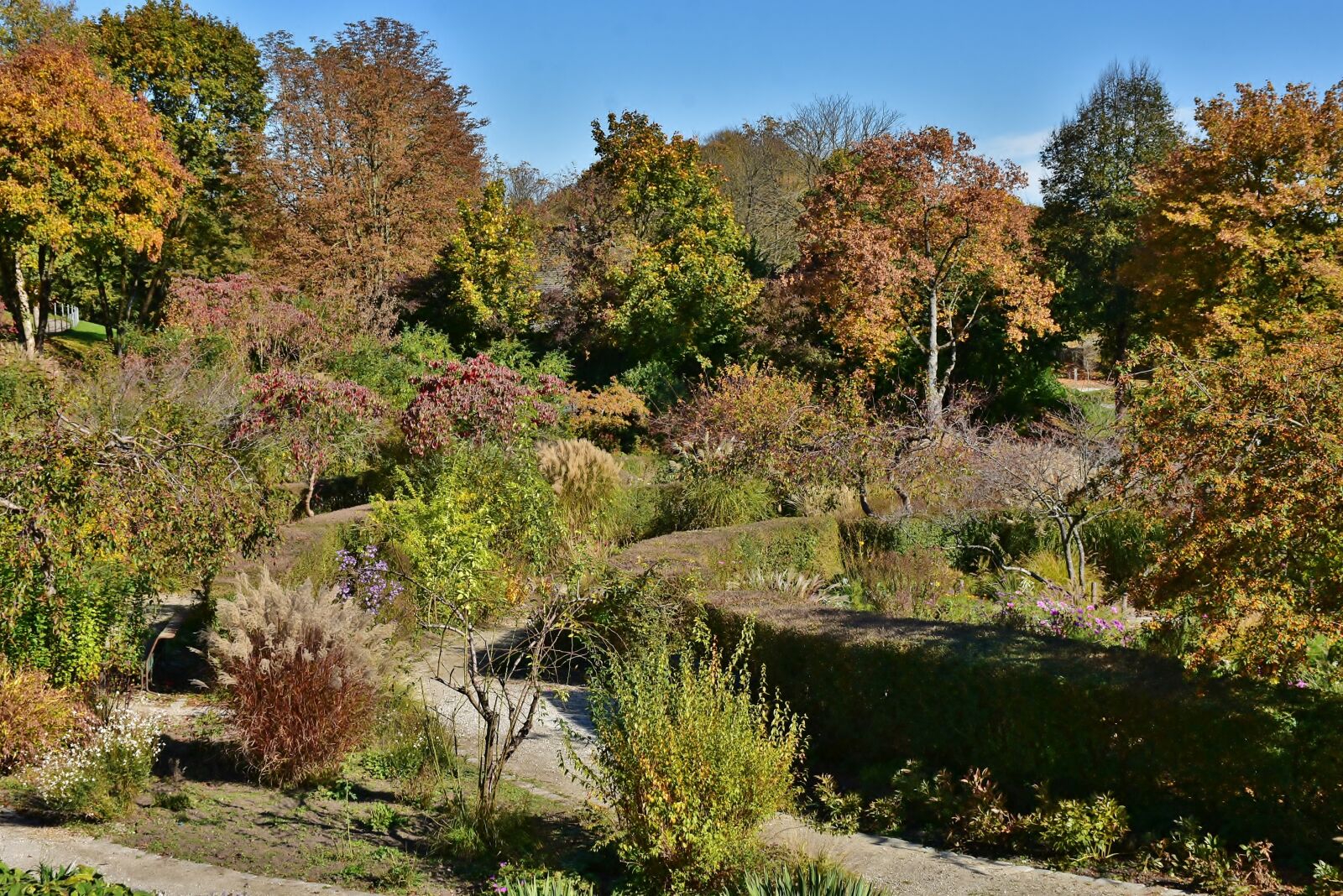 Nikon D7200 sample photo. Park, trees, nature photography
