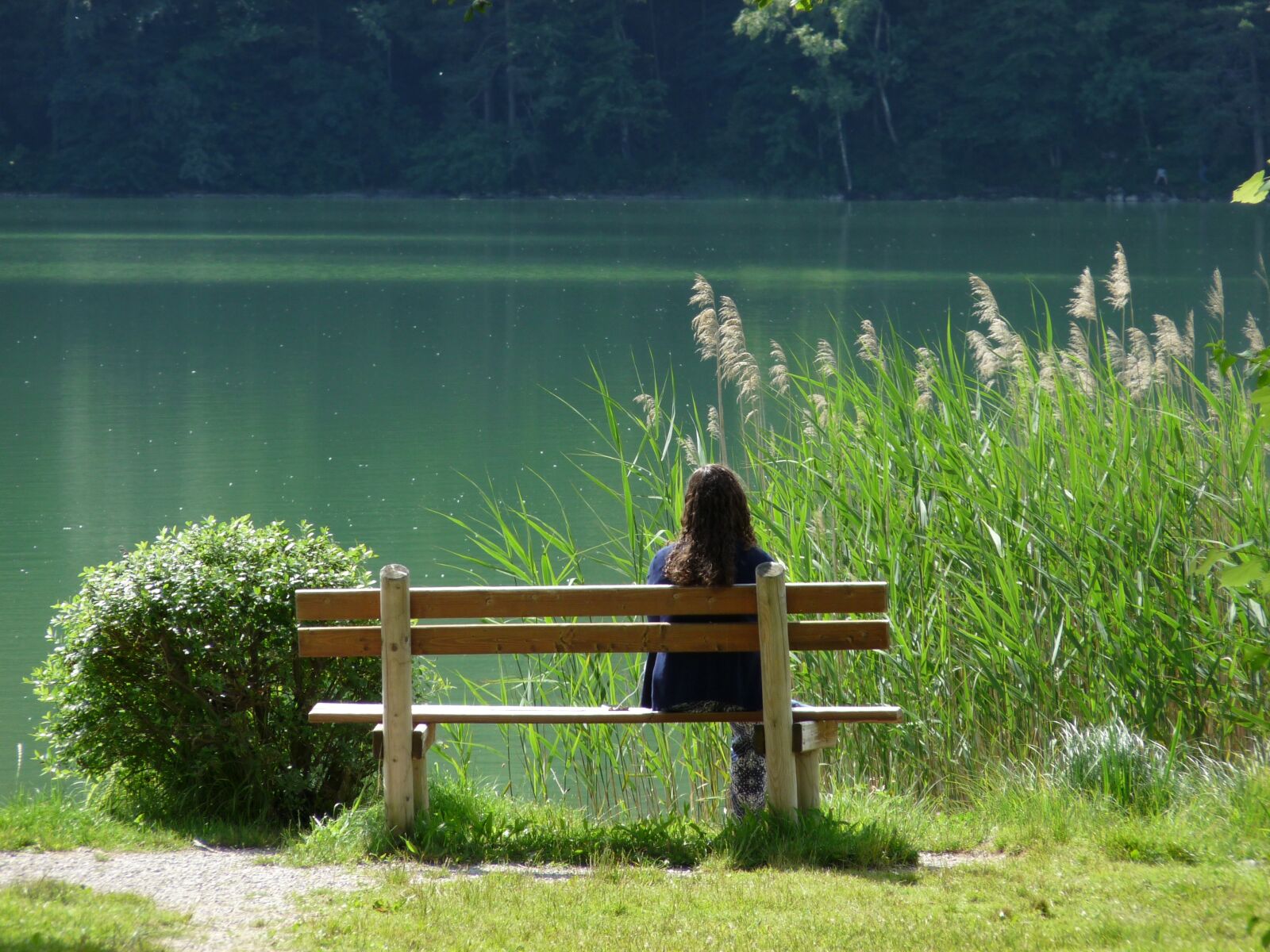 Panasonic Lumix DMC-FZ28 sample photo. Lake, nature, rest photography