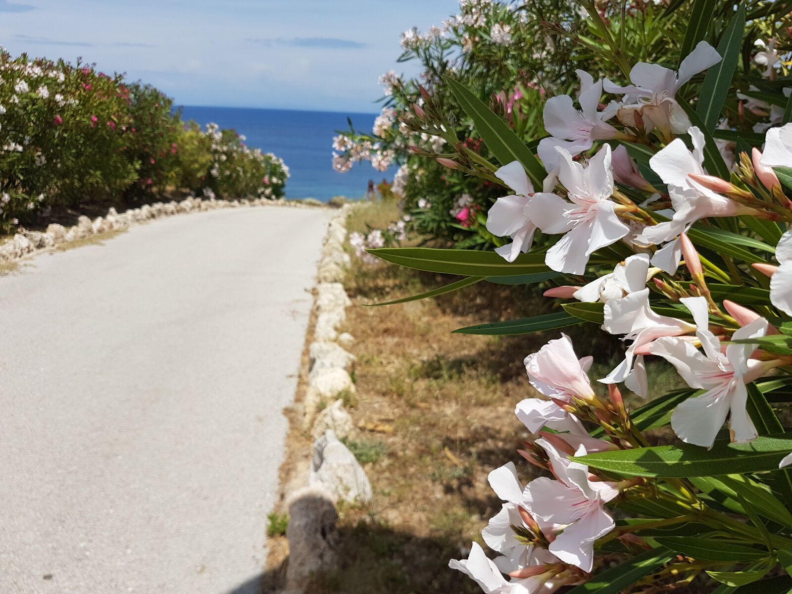 Samsung Galaxy S7 Edge sample photo. Rhodes, greece, island photography