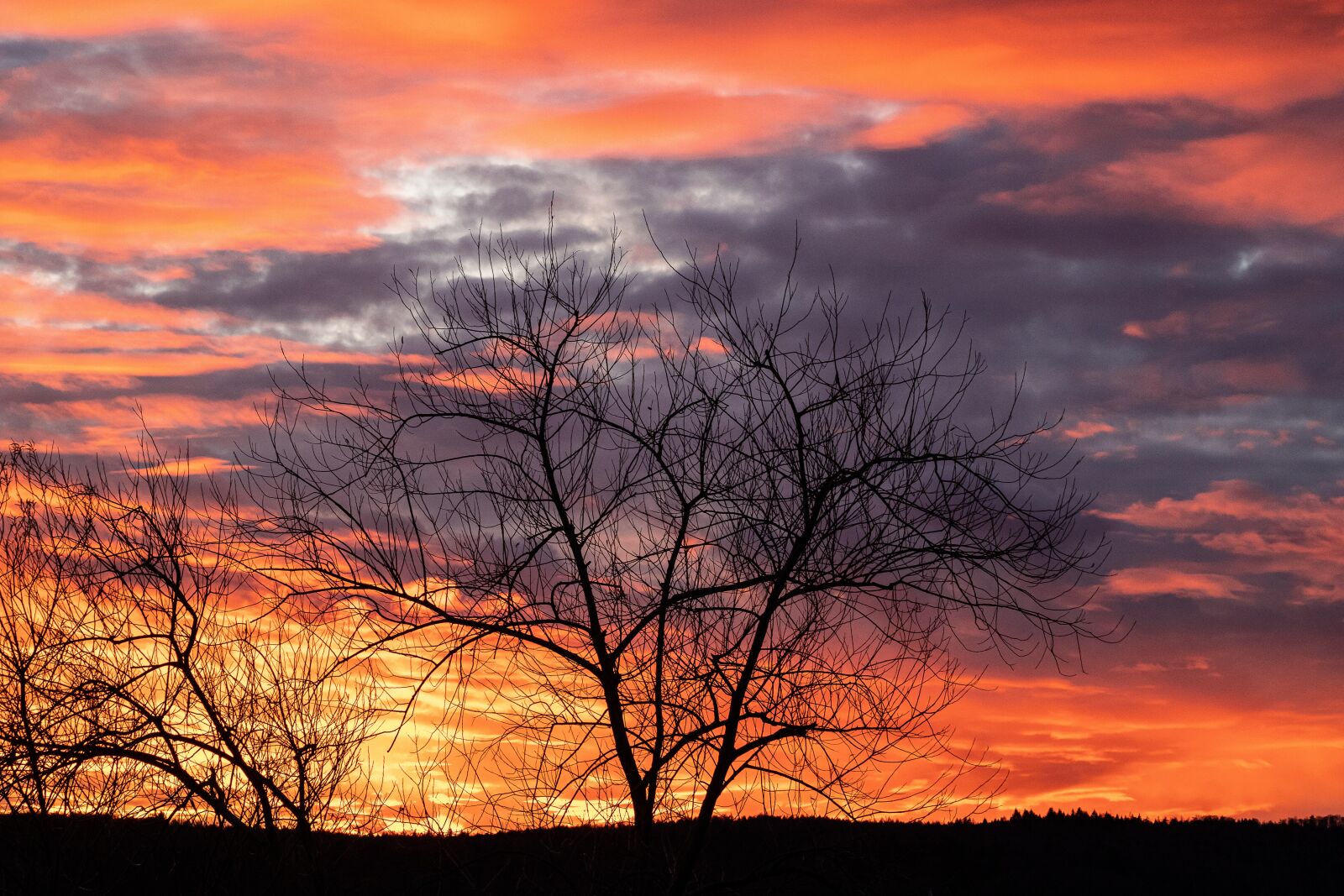 Canon EF 70-300mm F4-5.6 IS USM sample photo. Sunset, bushes, sky photography